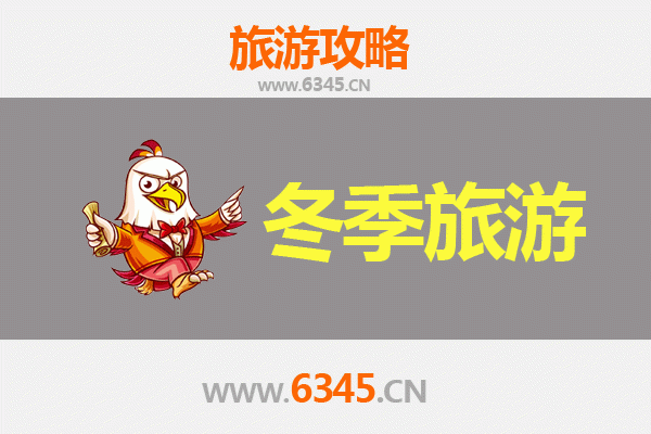 邯郸魏县冬季旅游攻略：梨乡雪韵与古韵风情的暖心之旅